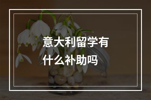 意大利留学有什么补助吗