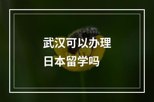 武汉可以办理日本留学吗