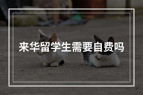 来华留学生需要自费吗