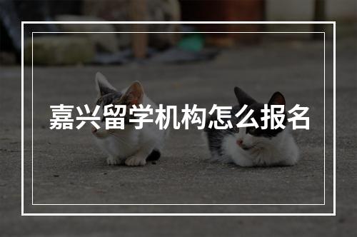 嘉兴留学机构怎么报名