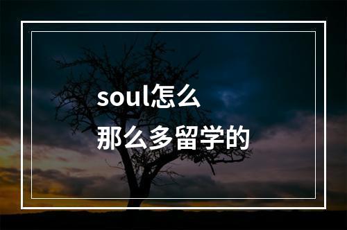 soul怎么那么多留学的