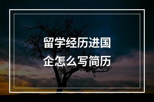 留学经历进国企怎么写简历