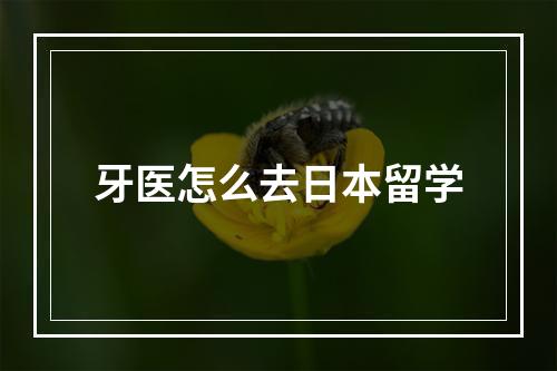 牙医怎么去日本留学