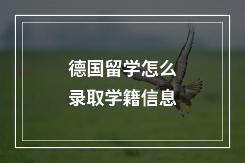 德国留学怎么录取学籍信息