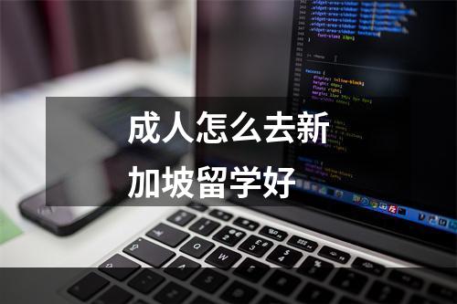 成人怎么去新加坡留学好