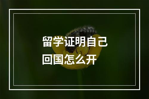 留学证明自己回国怎么开