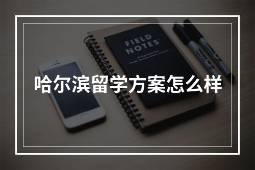 哈尔滨留学方案怎么样