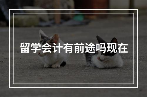 留学会计有前途吗现在