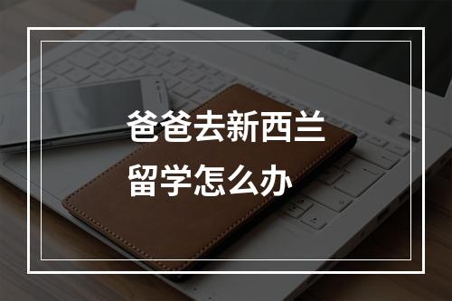 爸爸去新西兰留学怎么办