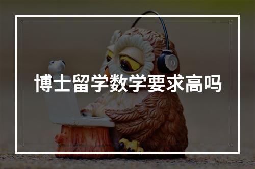 博士留学数学要求高吗