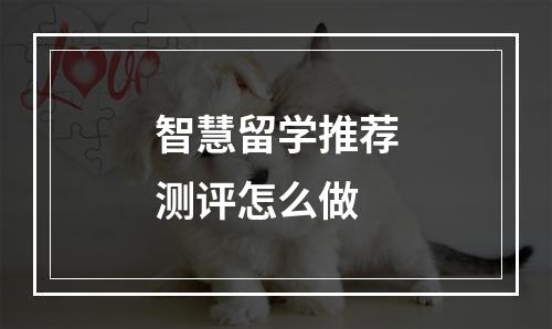 智慧留学推荐测评怎么做