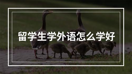 留学生学外语怎么学好