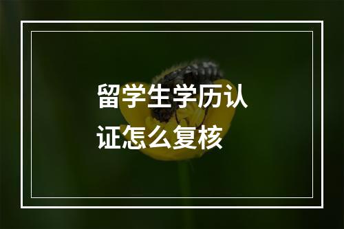 留学生学历认证怎么复核