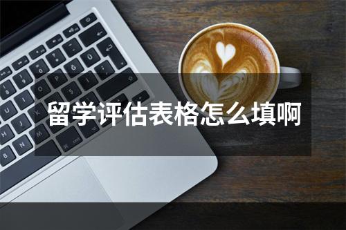 留学评估表格怎么填啊