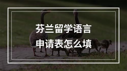 芬兰留学语言申请表怎么填