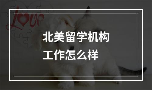 北美留学机构工作怎么样