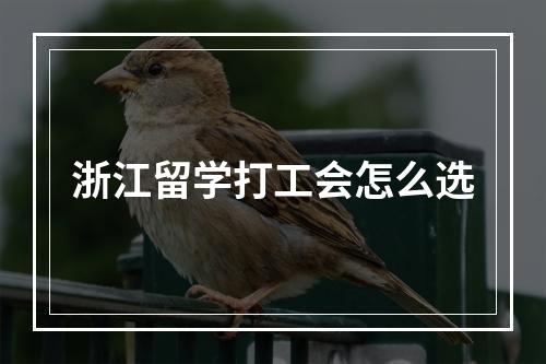 浙江留学打工会怎么选