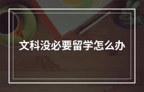 文科没必要留学怎么办