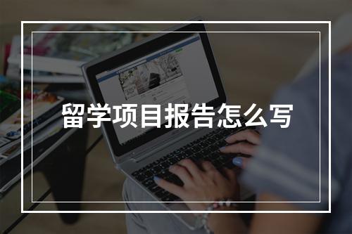 留学项目报告怎么写