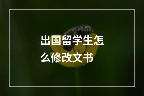 出国留学生怎么修改文书