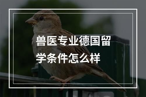 兽医专业德国留学条件怎么样