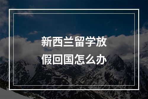 新西兰留学放假回国怎么办