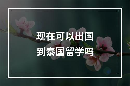 现在可以出国到泰国留学吗