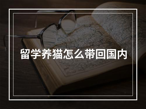 留学养猫怎么带回国内