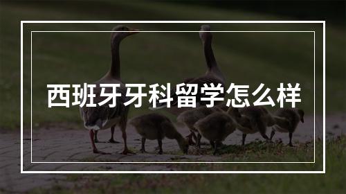 西班牙牙科留学怎么样