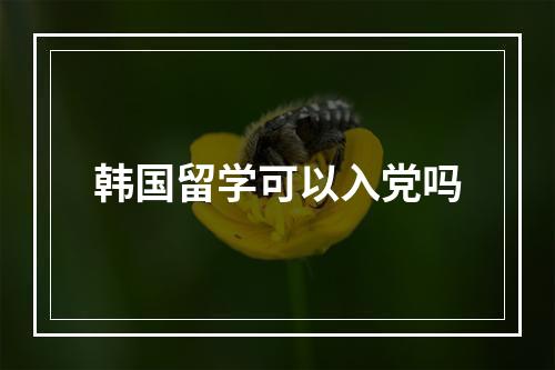 韩国留学可以入党吗