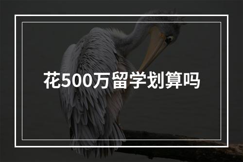 花500万留学划算吗