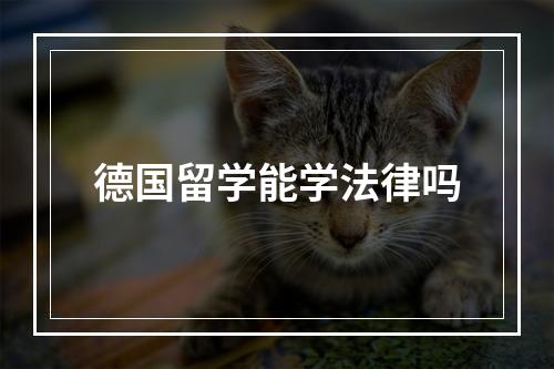 德国留学能学法律吗