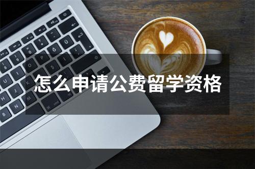 怎么申请公费留学资格