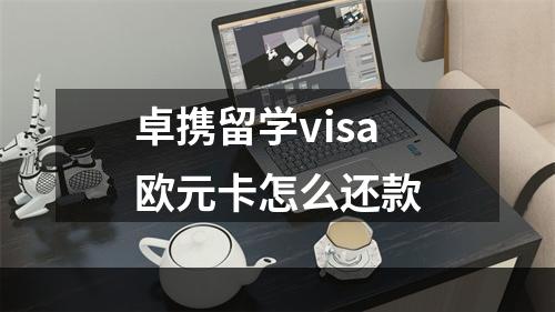 卓携留学visa欧元卡怎么还款