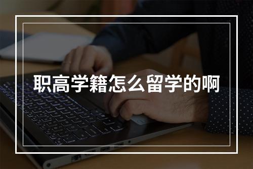 职高学籍怎么留学的啊