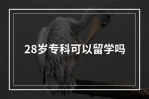 28岁专科可以留学吗