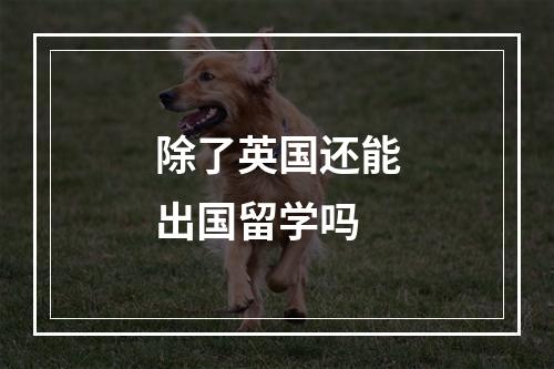 除了英国还能出国留学吗