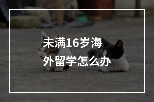 未满16岁海外留学怎么办