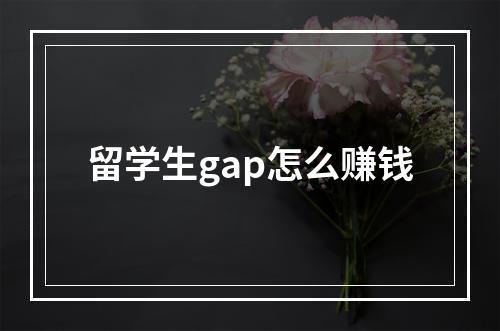 留学生gap怎么赚钱