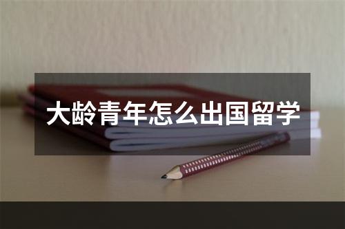 大龄青年怎么出国留学