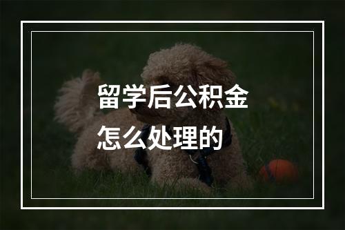 留学后公积金怎么处理的