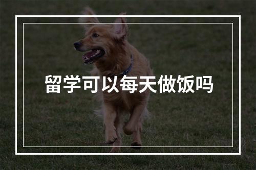 留学可以每天做饭吗