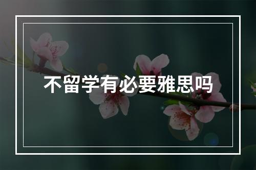 不留学有必要雅思吗