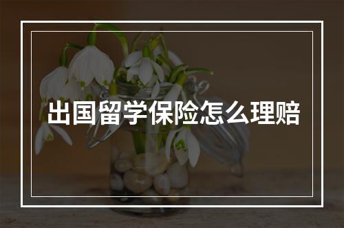 出国留学保险怎么理赔