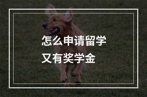 怎么申请留学又有奖学金