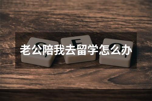 老公陪我去留学怎么办