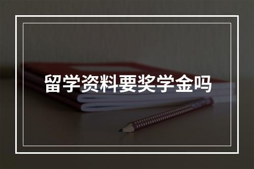 留学资料要奖学金吗