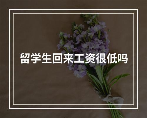 留学生回来工资很低吗