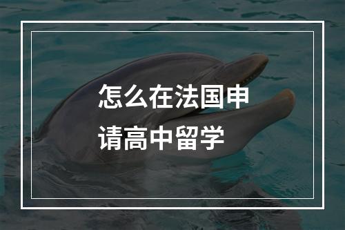 怎么在法国申请高中留学