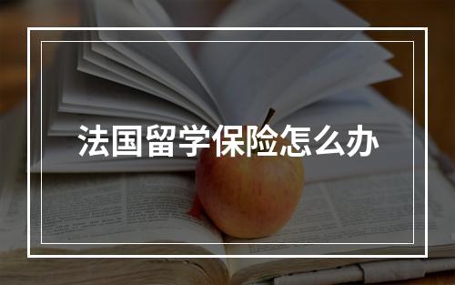 法国留学保险怎么办